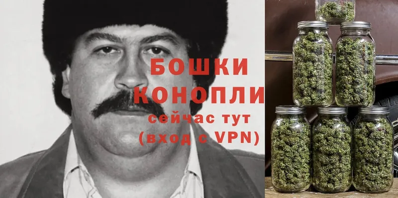 МАРИХУАНА THC 21%  продажа наркотиков  Пятигорск 